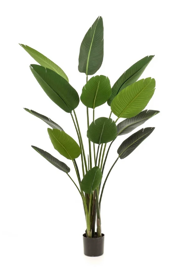 Potted Faux Houseplant Set (2) | Emerald Strelitzia | Eichholtzmiami.com