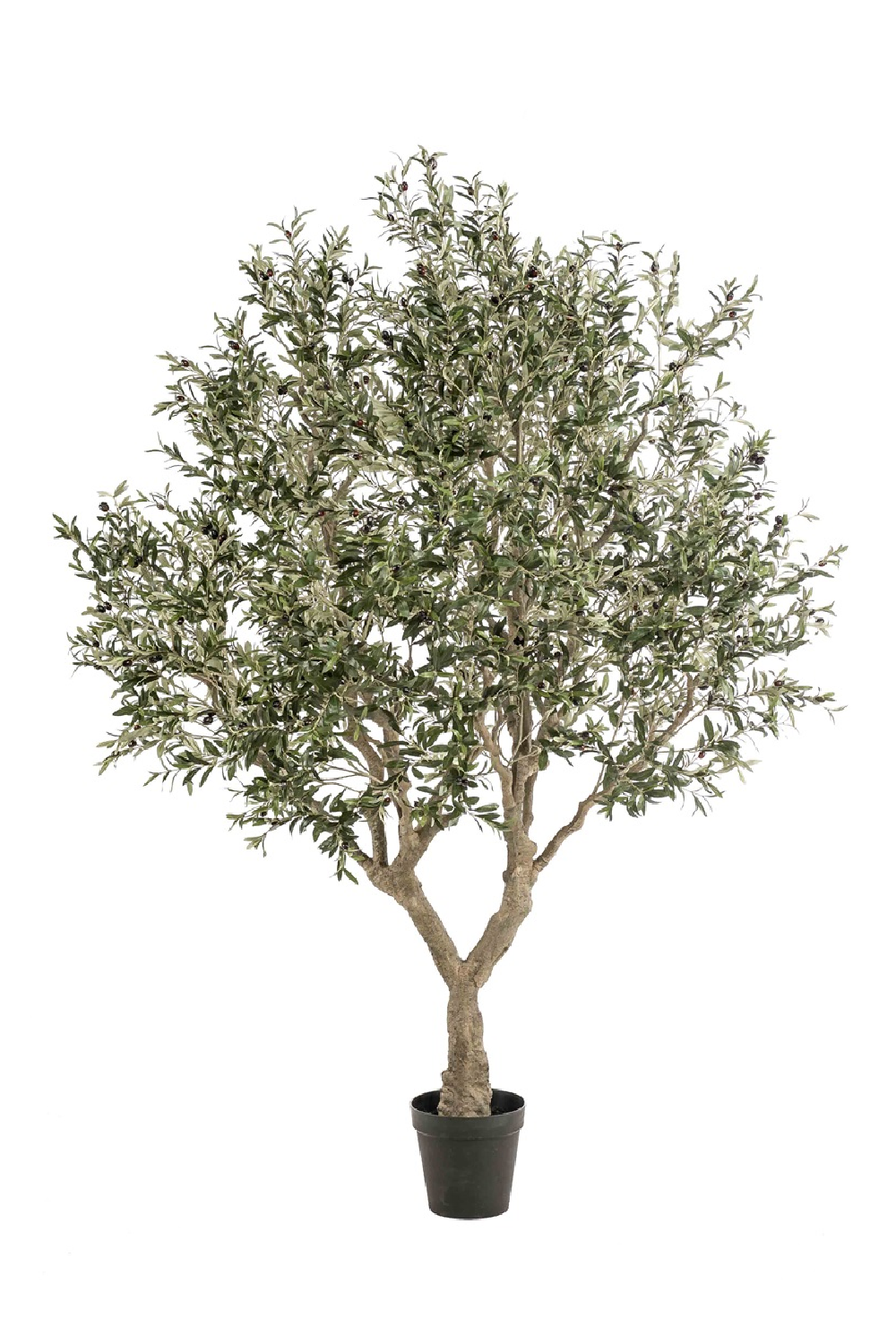 Faux Mediterranean Evergreen Tree, Emerald Olive