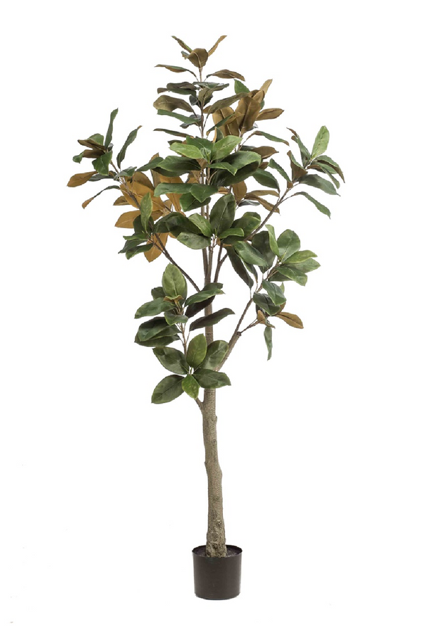 Faux Lily Tree Set (2) | Emerald Magnolia Denudata | Eichholtzmiami.com