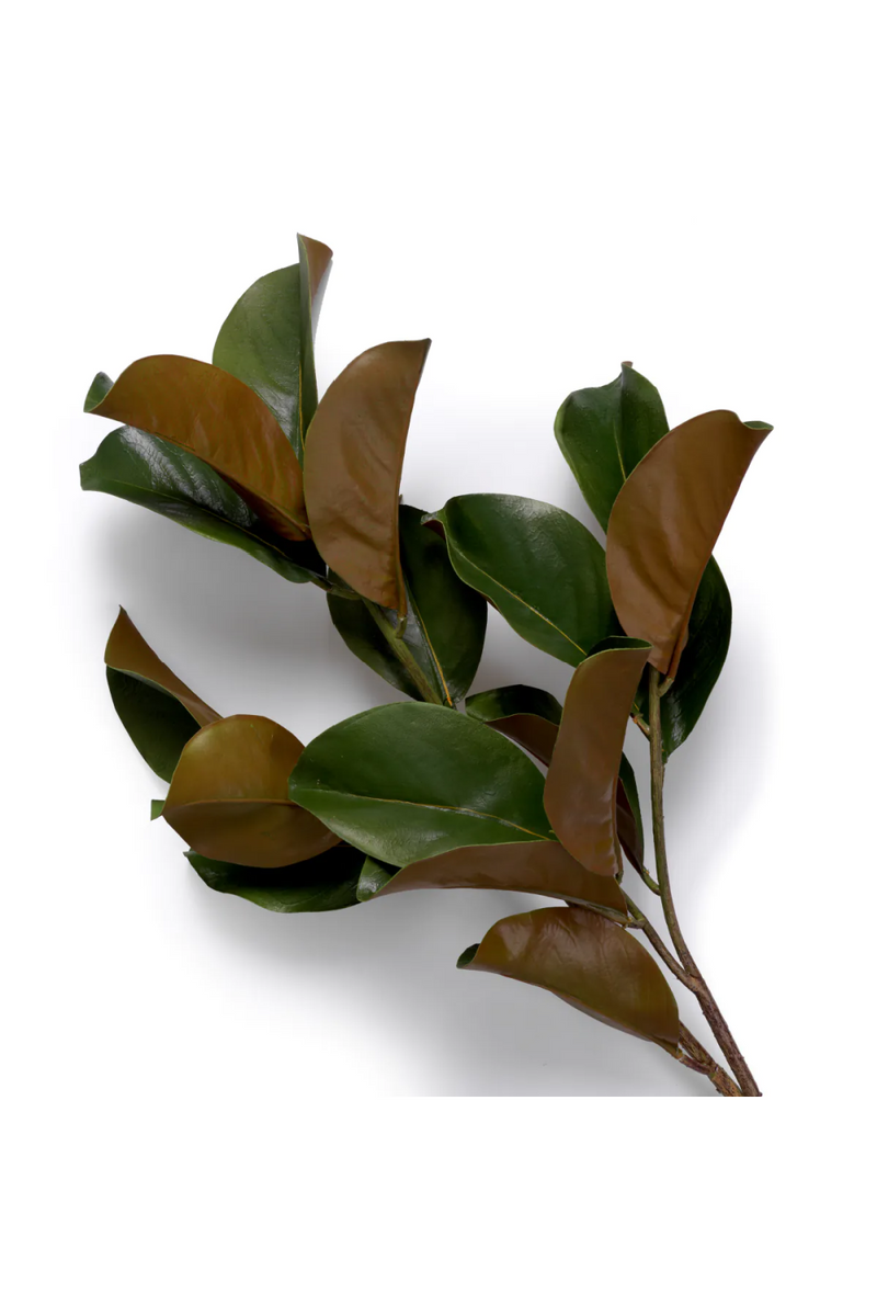 Glossy Green Foliage (24) | Eichholtz Bundle of Magnolia Leaves | Eichholtzmiami.com