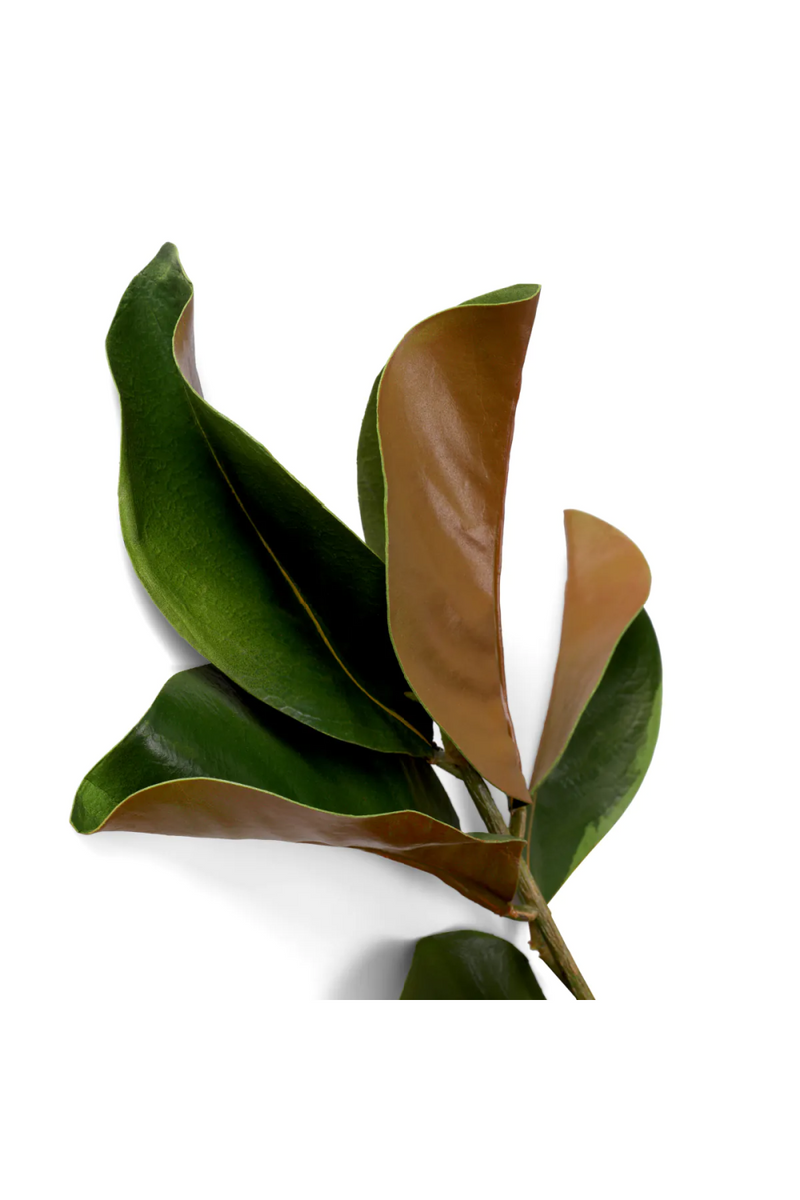 Glossy Green Foliage (24) | Eichholtz Bundle of Magnolia Leaves | Eichholtzmiami.com