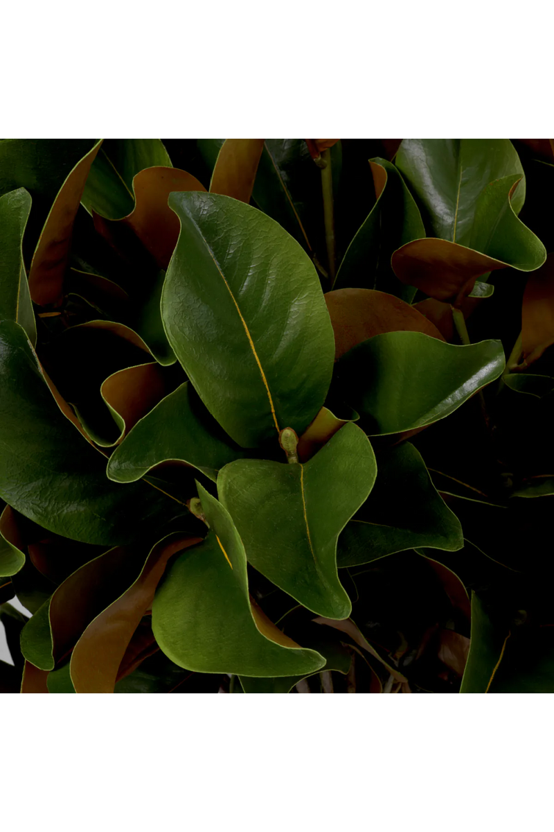 Glossy Green Foliage (24) | Eichholtz Bundle of Magnolia Leaves | Eichholtzmiami.com