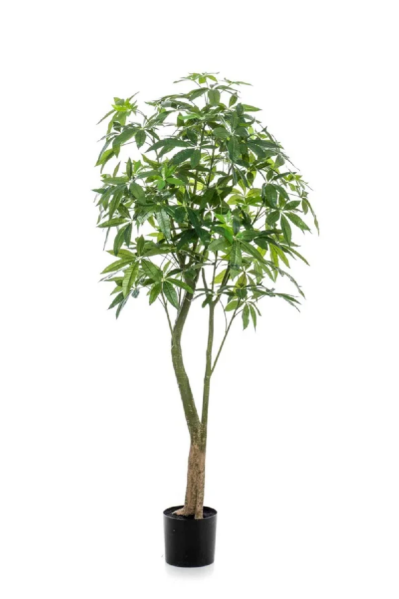 Artificial Money Trees - M (2) | Emerald Pachira | Eichholtzmiami.com