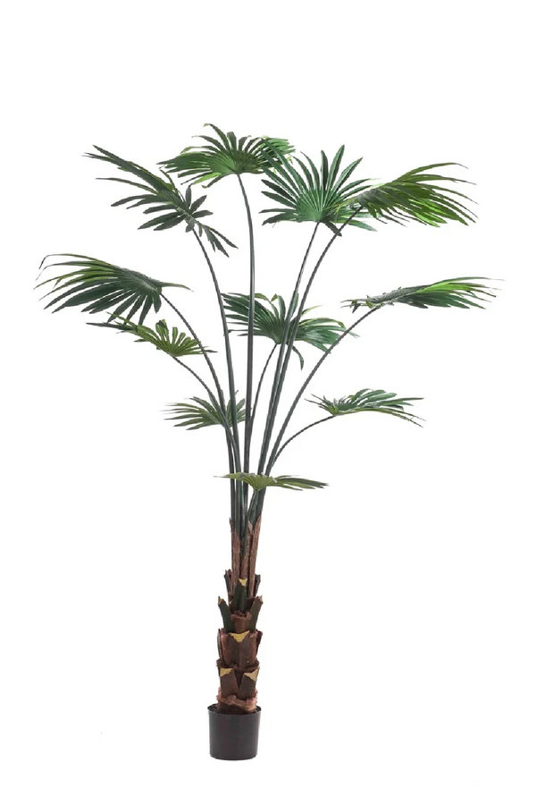 Faux Chinese Fan Plants - S (2) | Emerald Palm Livistona | Eichholtzmiami.com