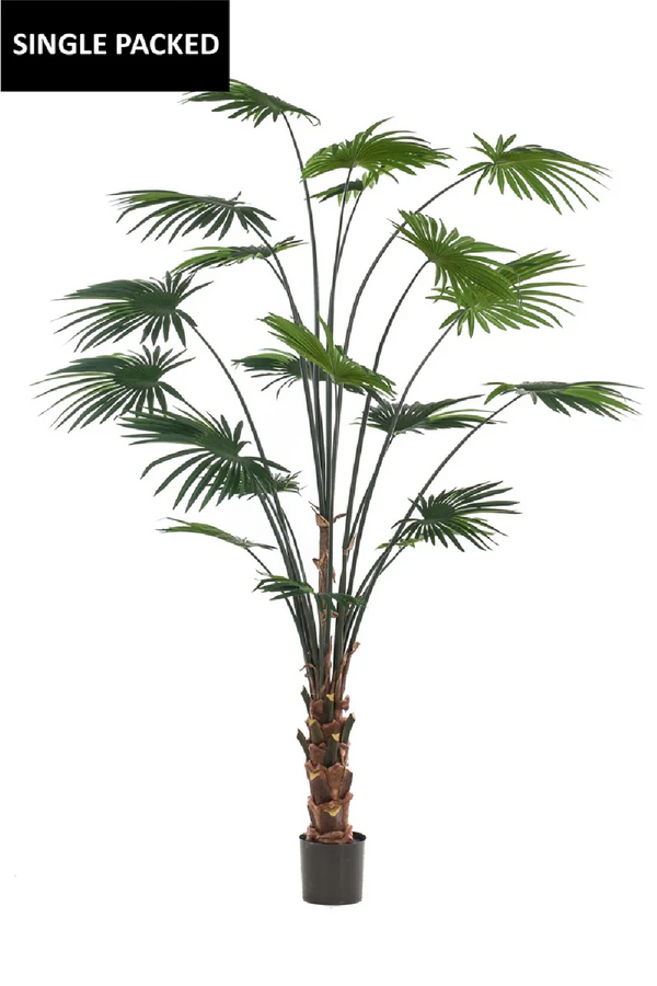 Faux Chinese Fan Plants - M (2) | Emerald Palm Livistona | Eichholtzmiami.com