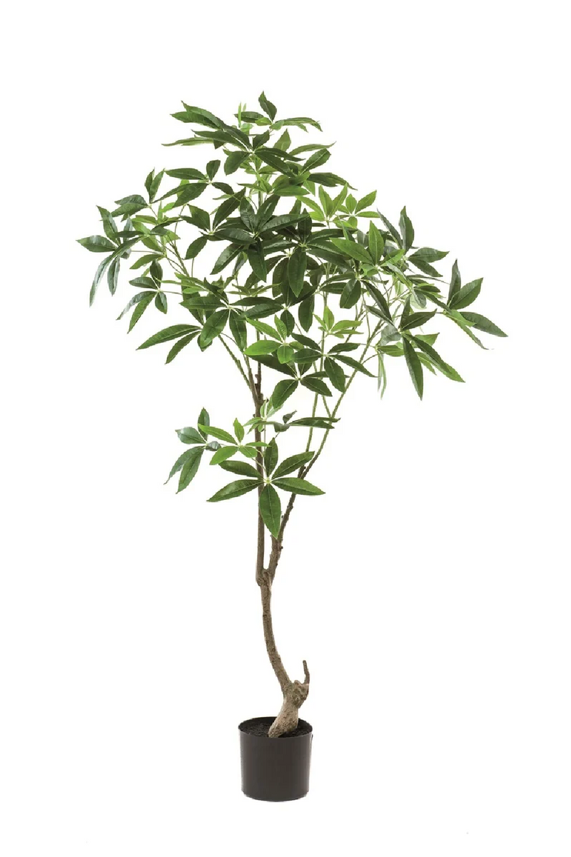 Artificial Money Trees - S (2) | Emerald Pachira | Eichholtzmiami.com