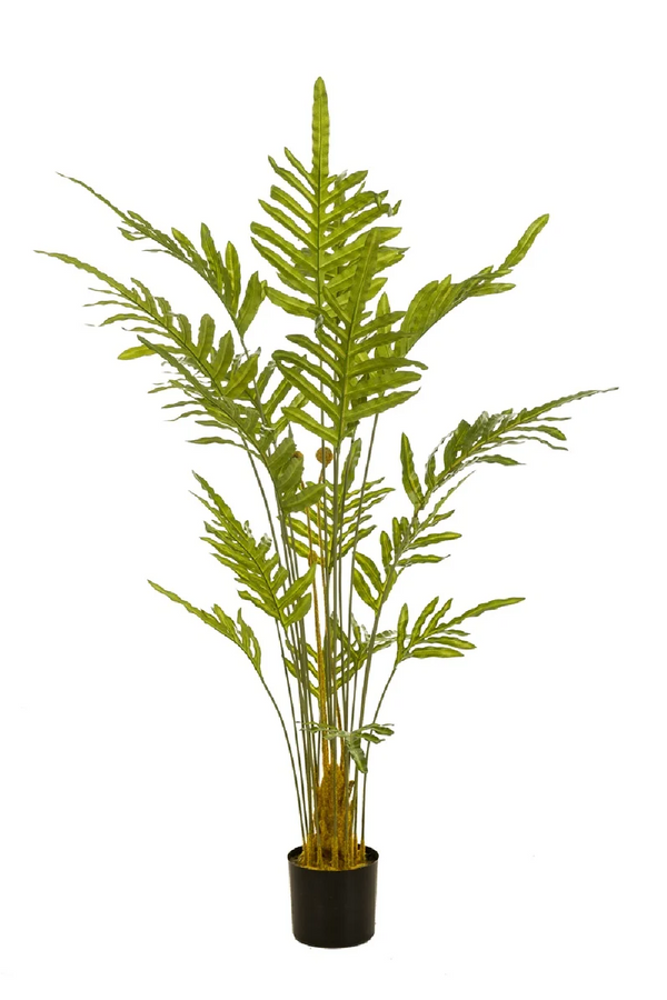 Potted Faux Frond Plants (2) | Emerald Fern | Eichholtzmiami.com