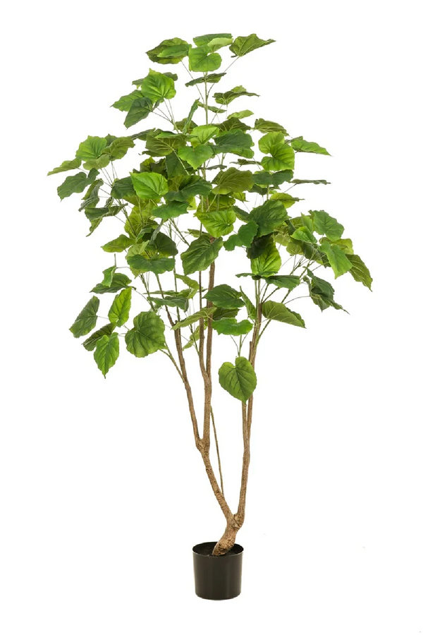 Heart-Shaped Leaf Faux Plants (2) | Emerald Fig | Eichholtzmiami.com