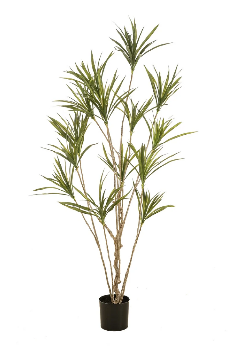 Multi-Stemmed Faux Plants - S (2) | Emerald Dracaena | Eichholtzmiami.com