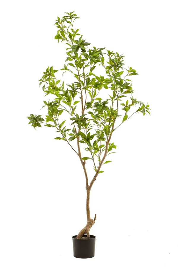 Green Faux Trees (2) | Emerald Tea Leaf | Eichholtzmiami.com