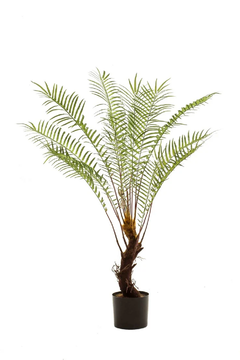 Faux Green Tropical Plants (2) | Emerald Dicksonia | Eichholtzmiami.com