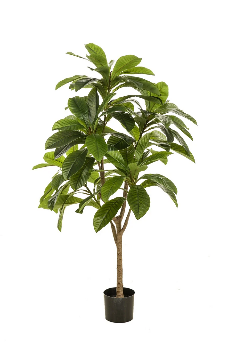 Potted Faux Tropical Trees (2) | Emerald Frangipani | Eichholtzmiami.com