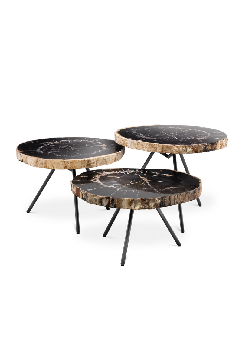 Petrified Wood Coffee Table Set | Eichholtz De Soto | Eichholtz Miami