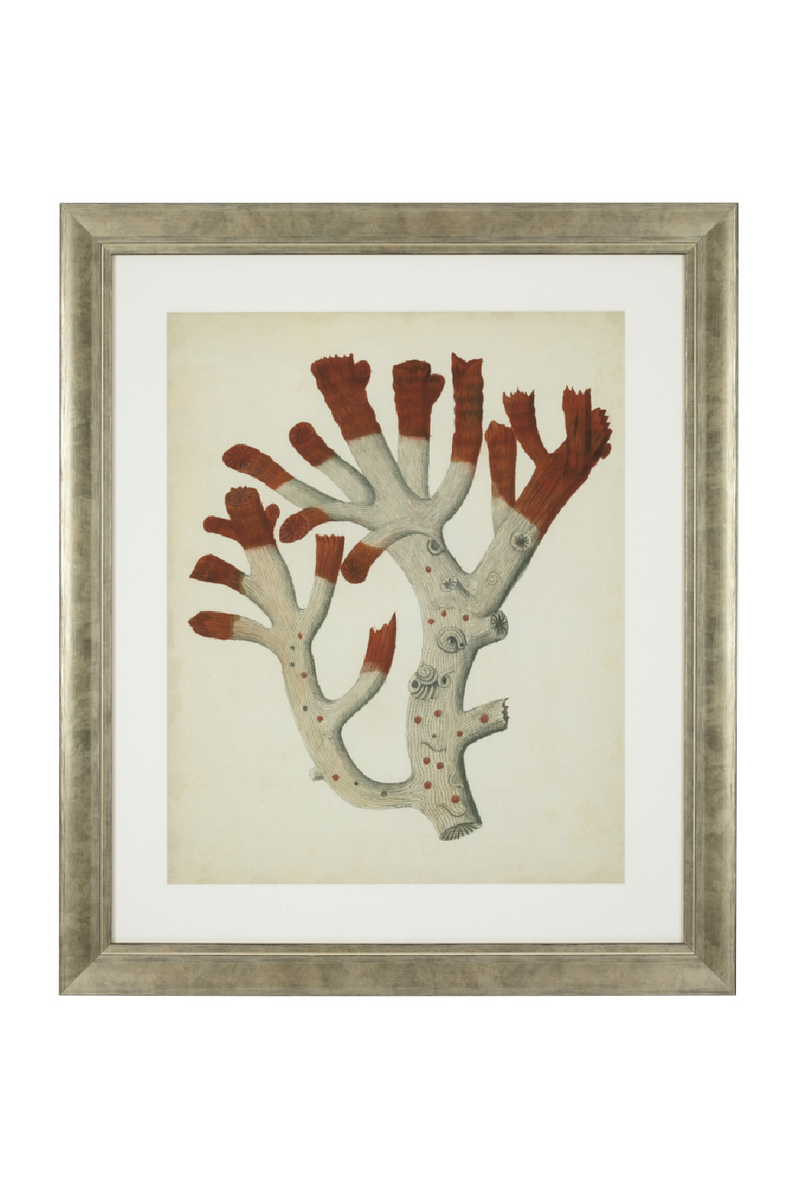 Coral Prints Set | Eichholtz Red Corals | Eichholtz Miami