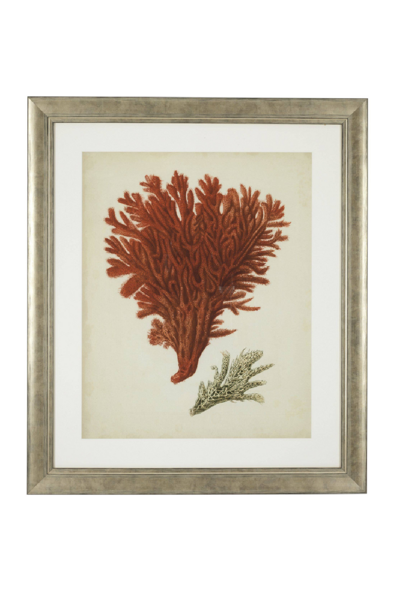 Coral Prints Set | Eichholtz Red Corals | Eichholtz Miami