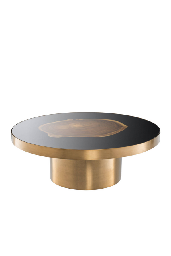 Golden Petrified Coffee Table | Eichholtz Concord | Eichholtz Miami