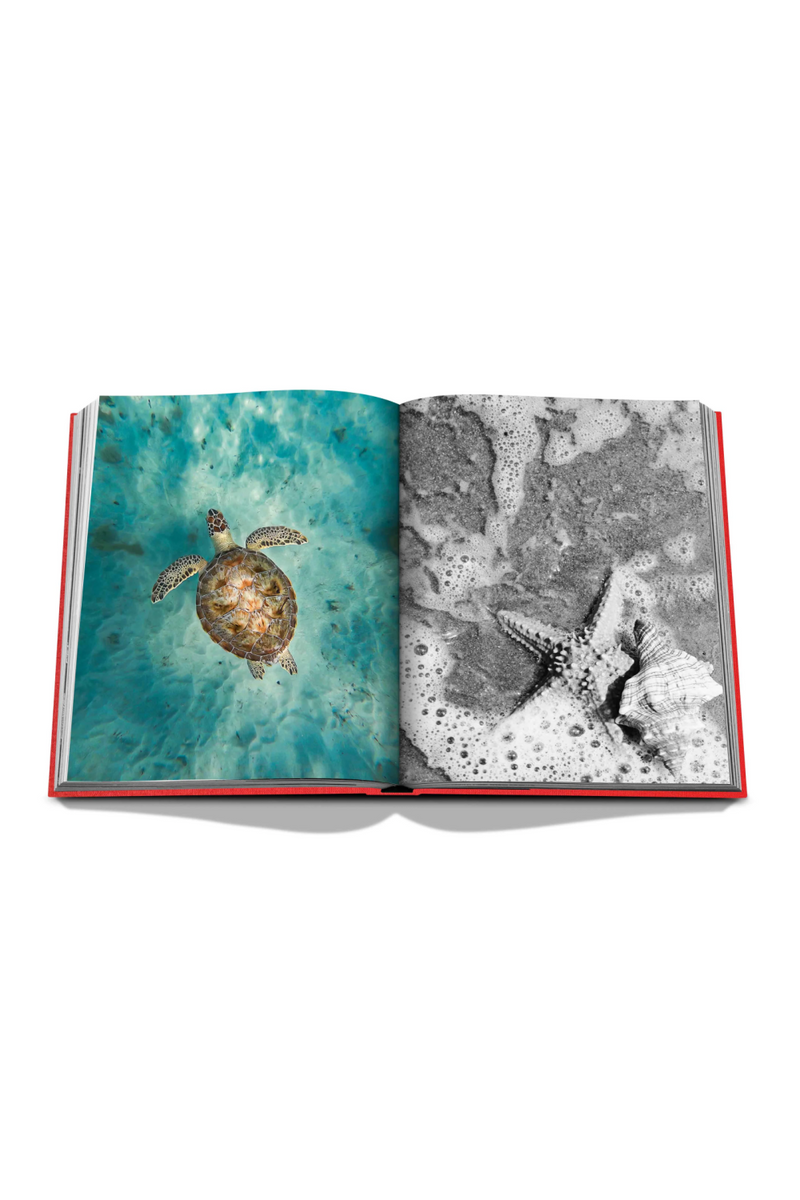 Island Travel Book | Assouline St. Barths Freedom | Eichholtzmiami.com