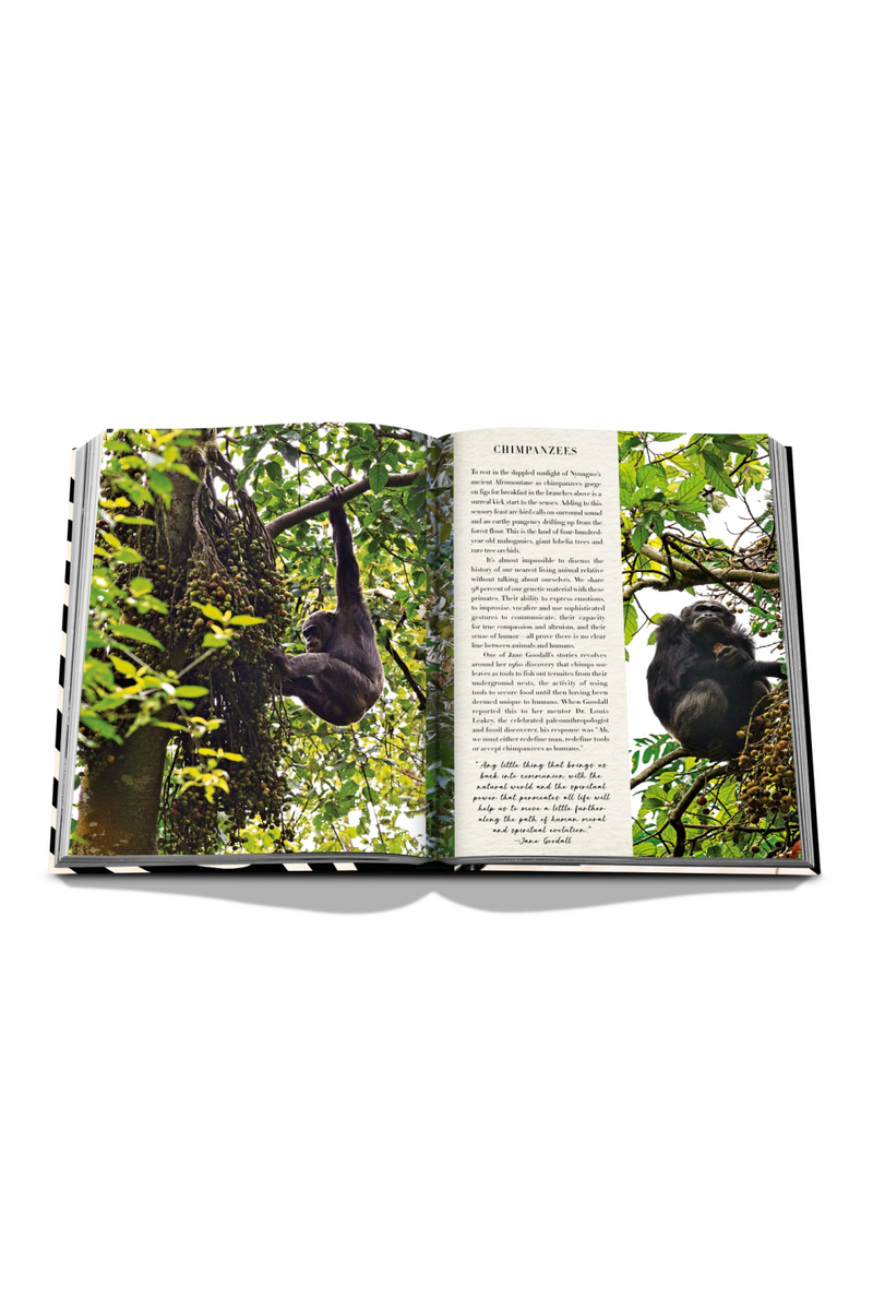 Safari Coffee Table Book | African Adventures: The Greatest Safari on Earth