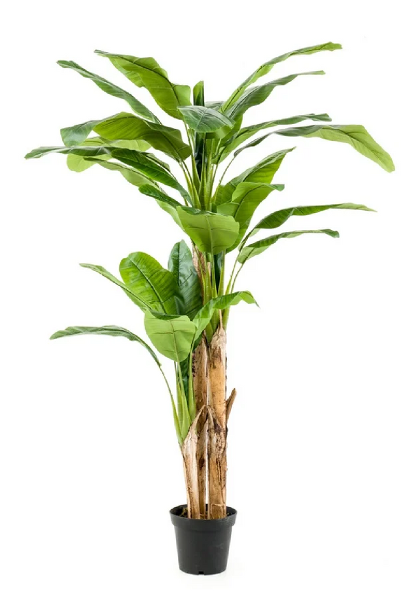 Potted Faux Fruit Tree | Emerald Banana | Eichholtzmiami.com