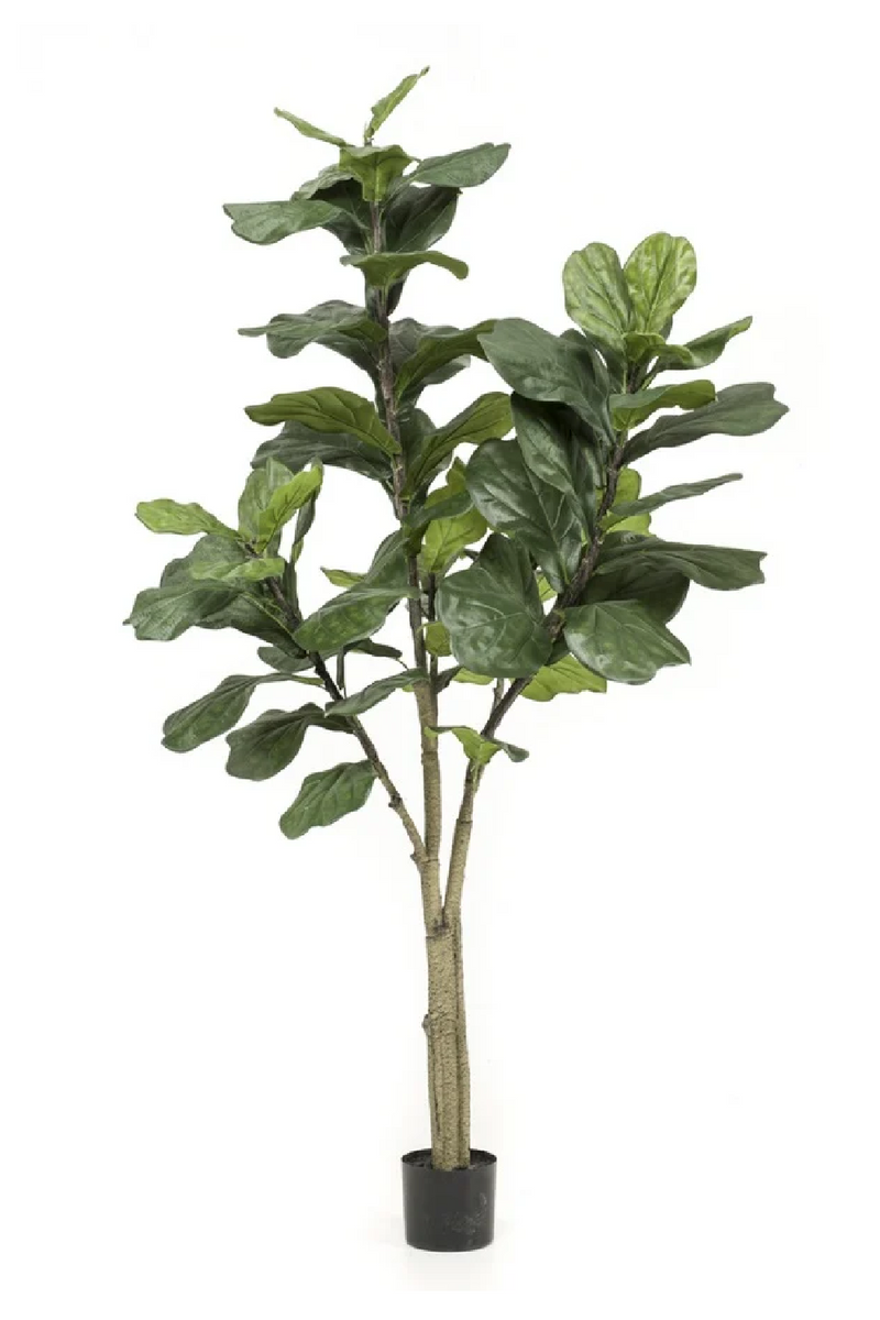 Faux Fiddle Leaf Decor Set (2) | Emerald Ficus Lyrata |  Eichholtzmiami.com