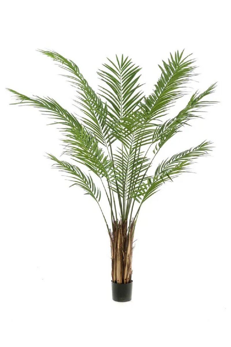 Artificial Tropical Plant Decor Set (2) | Emerald Areca | Eichholtzmiami.com