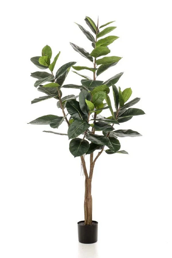 Potted Faux Tree Set (2) | Emerald Ficus Elastica | Eichholtzmiami.com