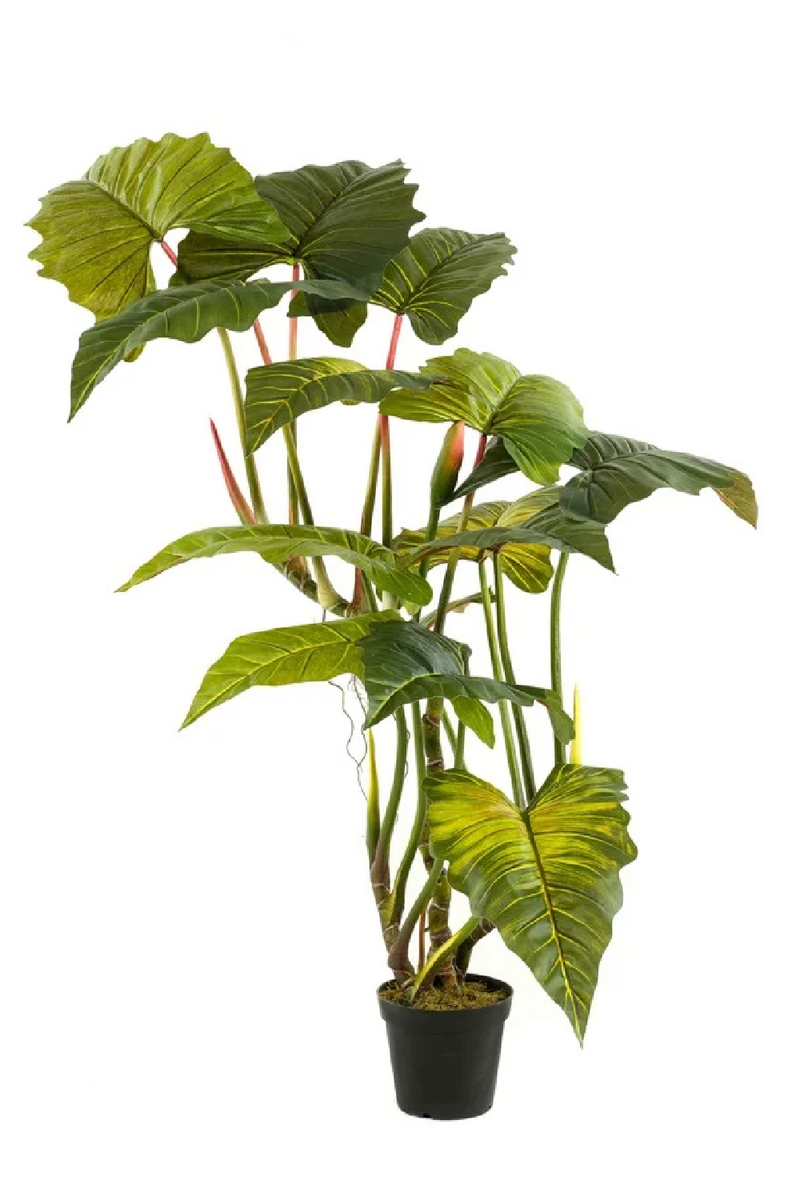 Artificial Elephant Ears Plant Set (2) | Emerald Colocasia On Trunk | Eichholtzmiami.com