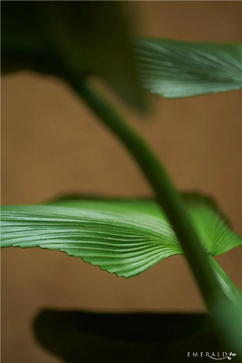 Faux Fan Palm Deco | Emerald Licuala | Eichholtzmiami.com