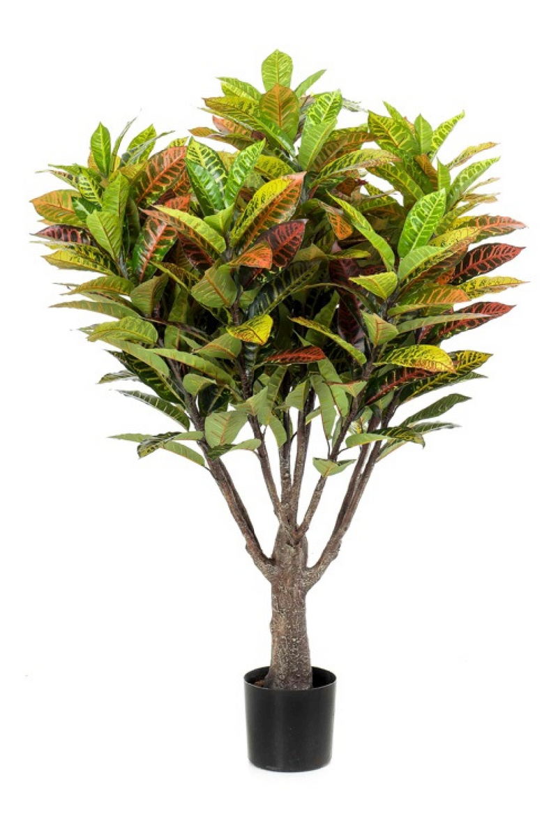 Artificial Colorful-Leaved Plant Set (2) | Emerald Croton | Eichholtzmiami.com