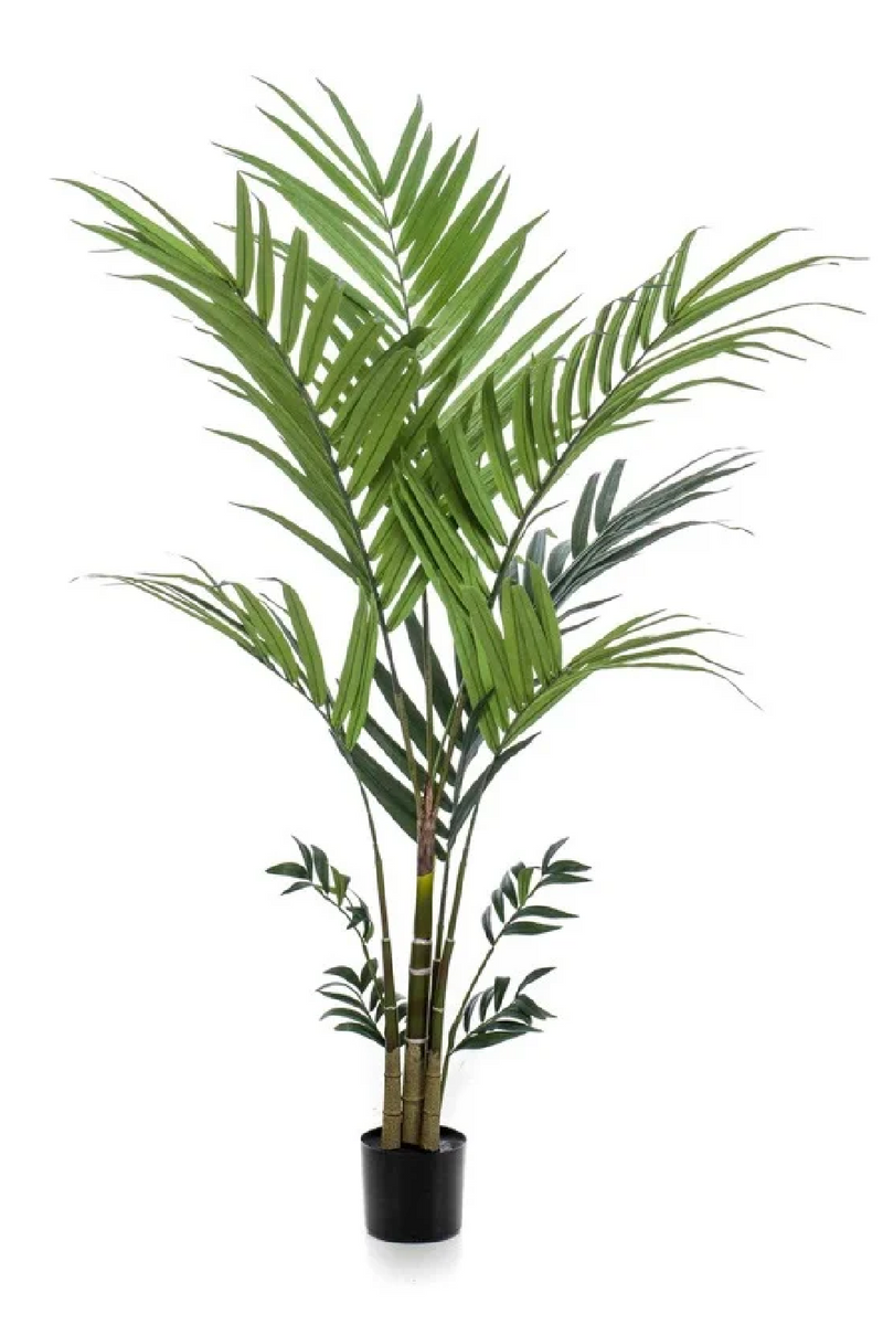 Artificial Tropical Palm Set (2) | Emerald Kentia | Eichholtzmiami.com
