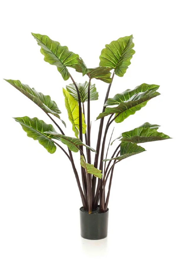 Artifical Tropical Plant Set (2) | Emerald Colocasia | Eichholtzmiami.com