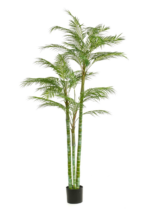 Artificial Tropical Plant Decor | Emerald Areca | Eichholtzmiami.com
