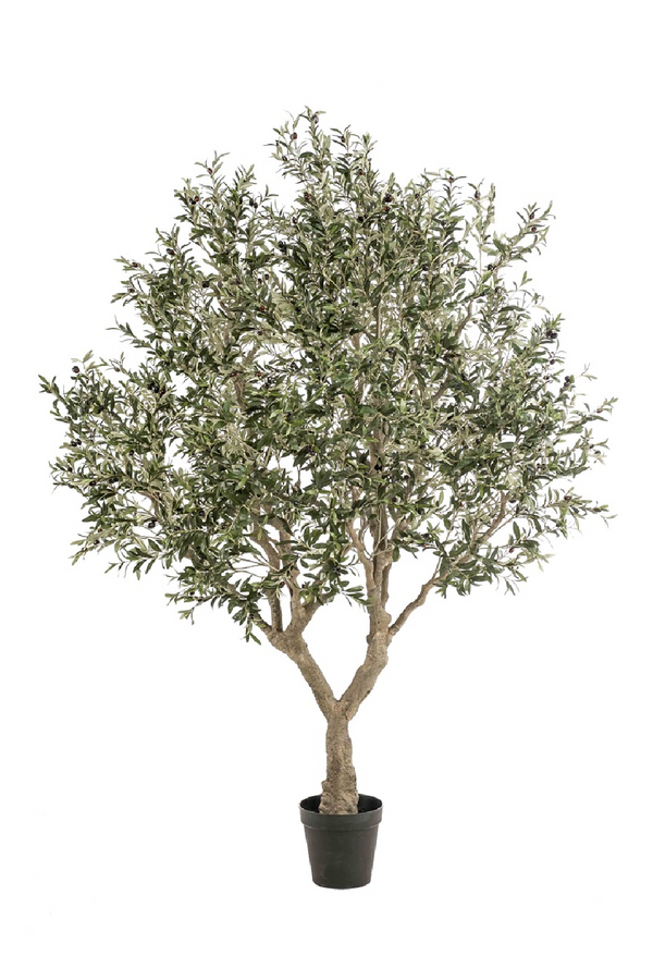 Faux Mediterranean Evergreen Tree | Emerald Olive | Eichholtzmiami.com