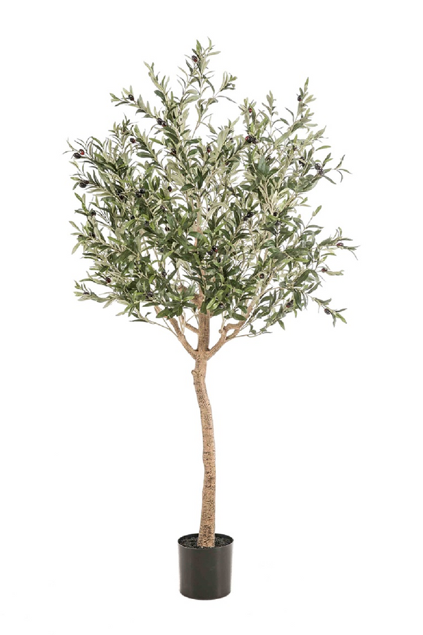 Faux Mediterranean Evergreen Tree Set (2) | Emerald Olive | Eichholtzmiami.com