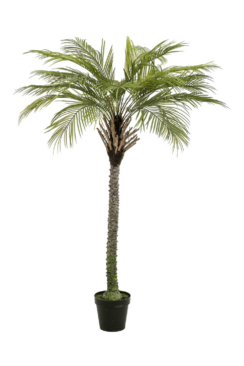 Artificial Date Tree Set (2) | Emerald Phoenix Palm Deluxe | Eichholtzmiami.com