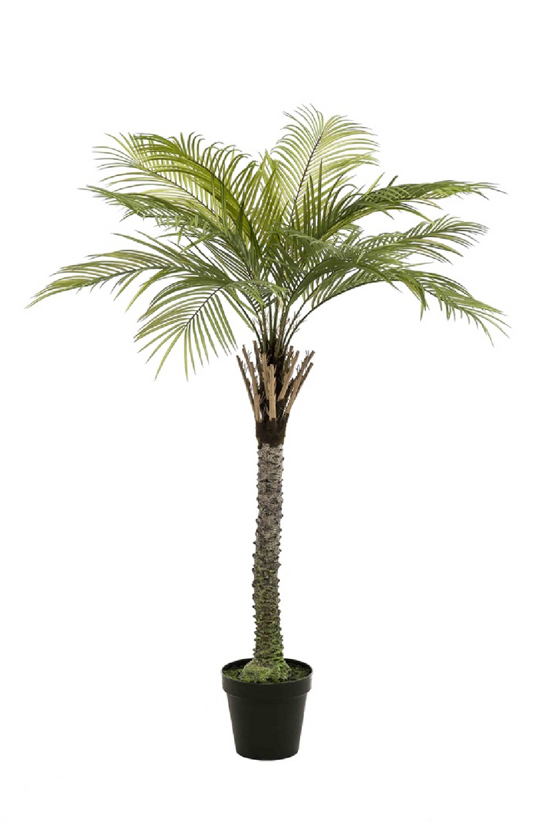 Artificial Date Tree | Emerald Phoenix Palm Deluxe | Eichholtzmiami.com