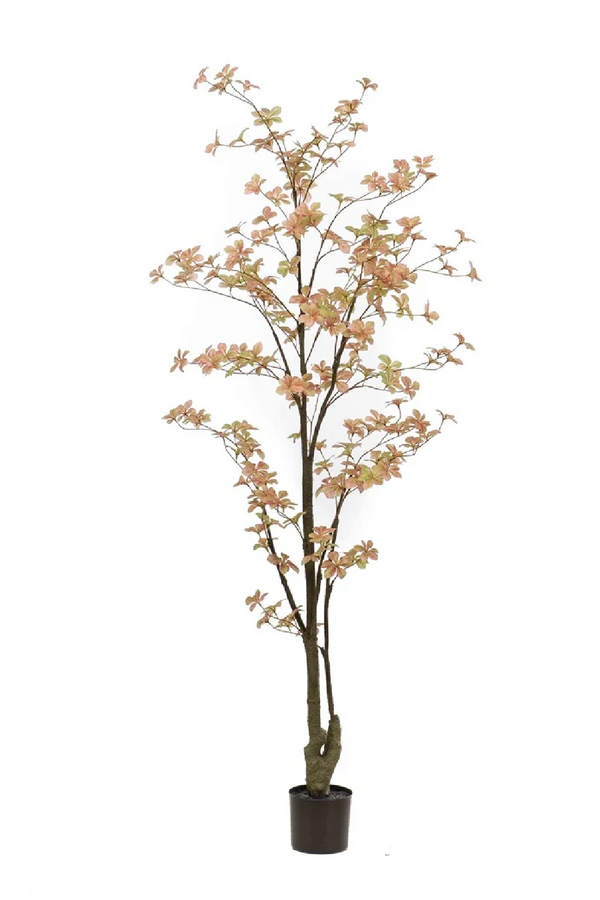 Peach Flowering Faux Plant Set (2) | Emerald Tropaeolum | Eichholtzmiami.com