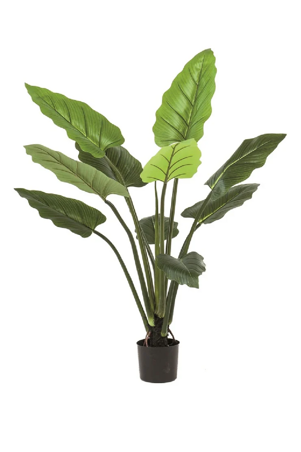 Green Heatleaf Faux Plant Set (2) | Emerald Philodendron | Eichholtzmiami.com