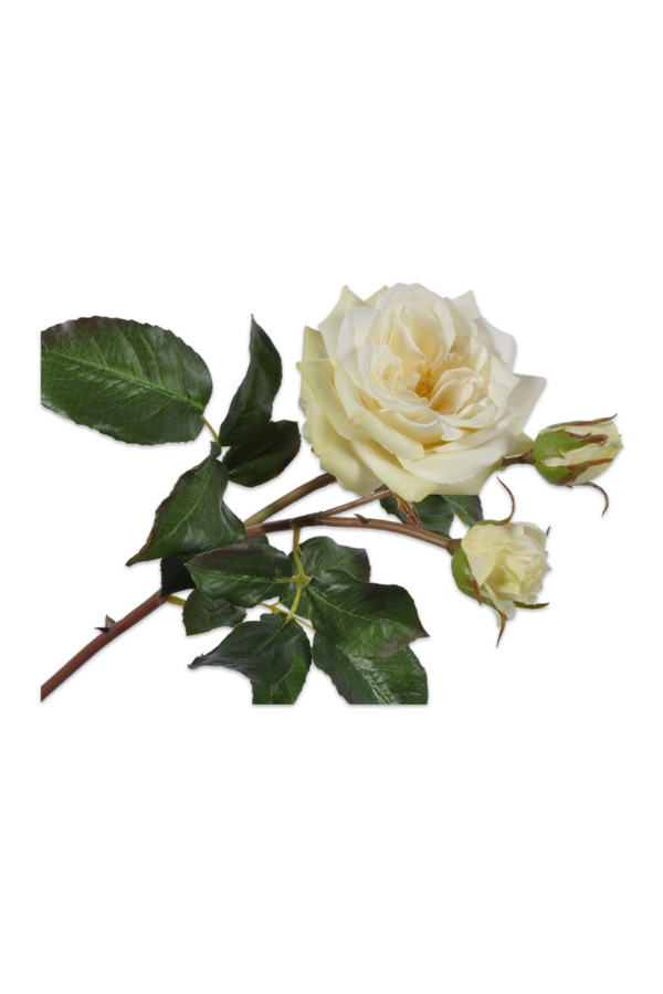 Silk Cream Rose (Set of 12) | Silk-ka Steel | Eichholtzmiami.com