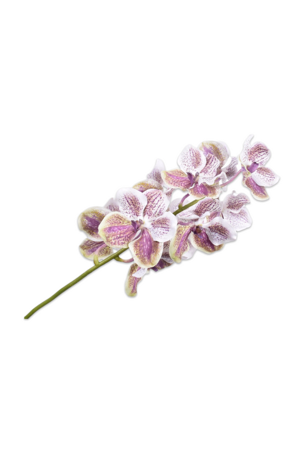 Silk Mauve Vanda Orchid (Set of 8) | Silk-ka Steel | Eichholtzmiami.com