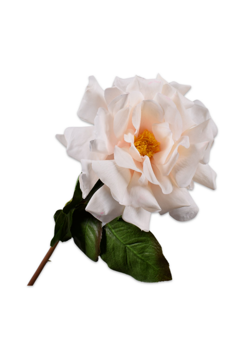 Silk Pastel-Colored Rose (Set of 12) | Silk-ka Rose Stem | Eichholtzmiami.com