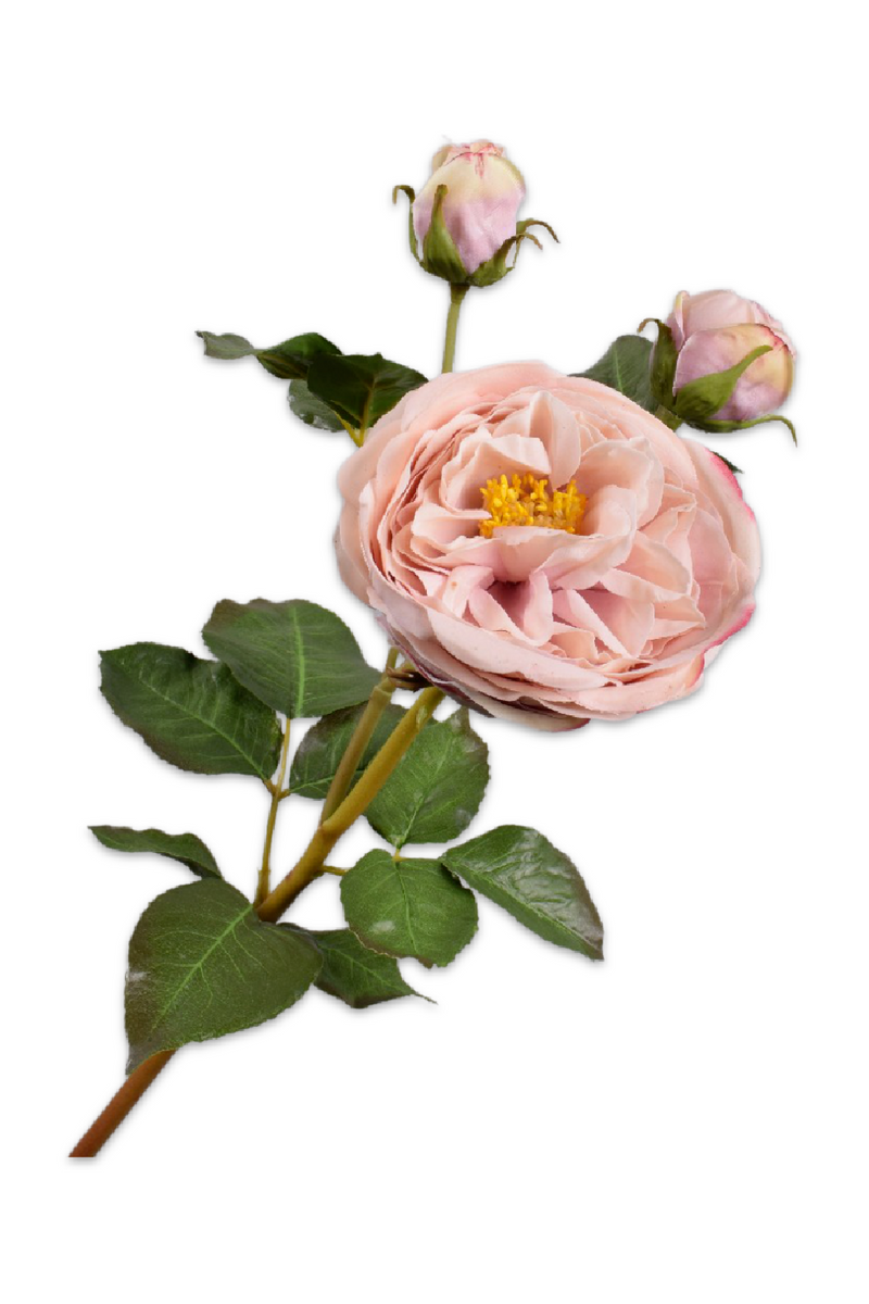 Silk Ornamental Rose (Set of 12) | Silk-ka Rose Branch | Eichholtzmiami.com