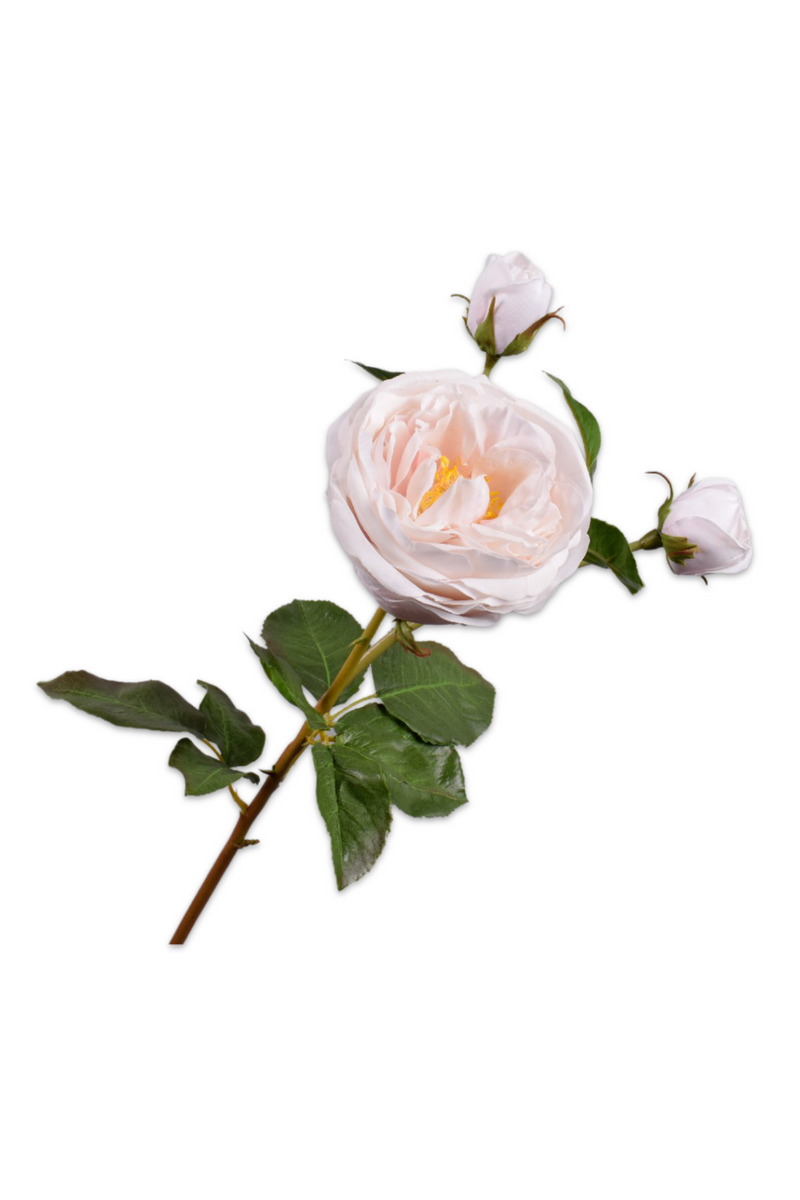 Silk Ornamental Rose (Set of 12) | Silk-ka Rose Branch | Eichholtzmiami.com