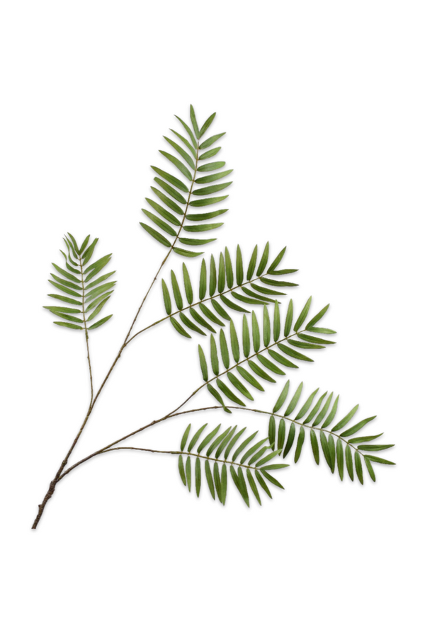 Silk Green Fern (Set of 24) | Silk-ka Fern Branch | Eichholtzmiami.com
